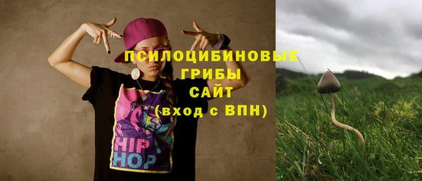 a pvp Саяногорск