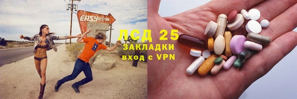 дмт Алзамай