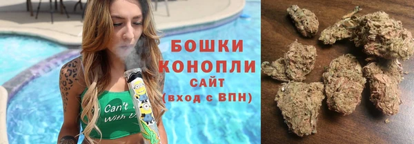 дмт Алзамай