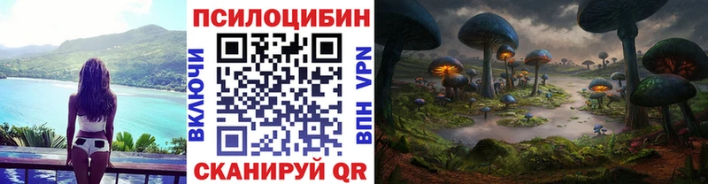 Псилоцибиновые грибы мицелий  Грязовец 